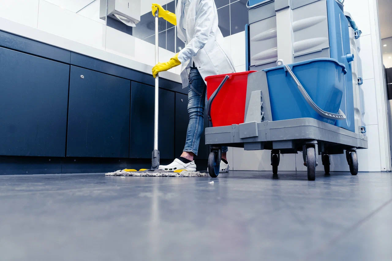 Reliable Carpet Cleaning in Phoenix AZ