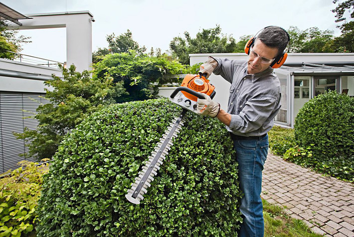 Affordable Bush Grinding Services in Walker LA