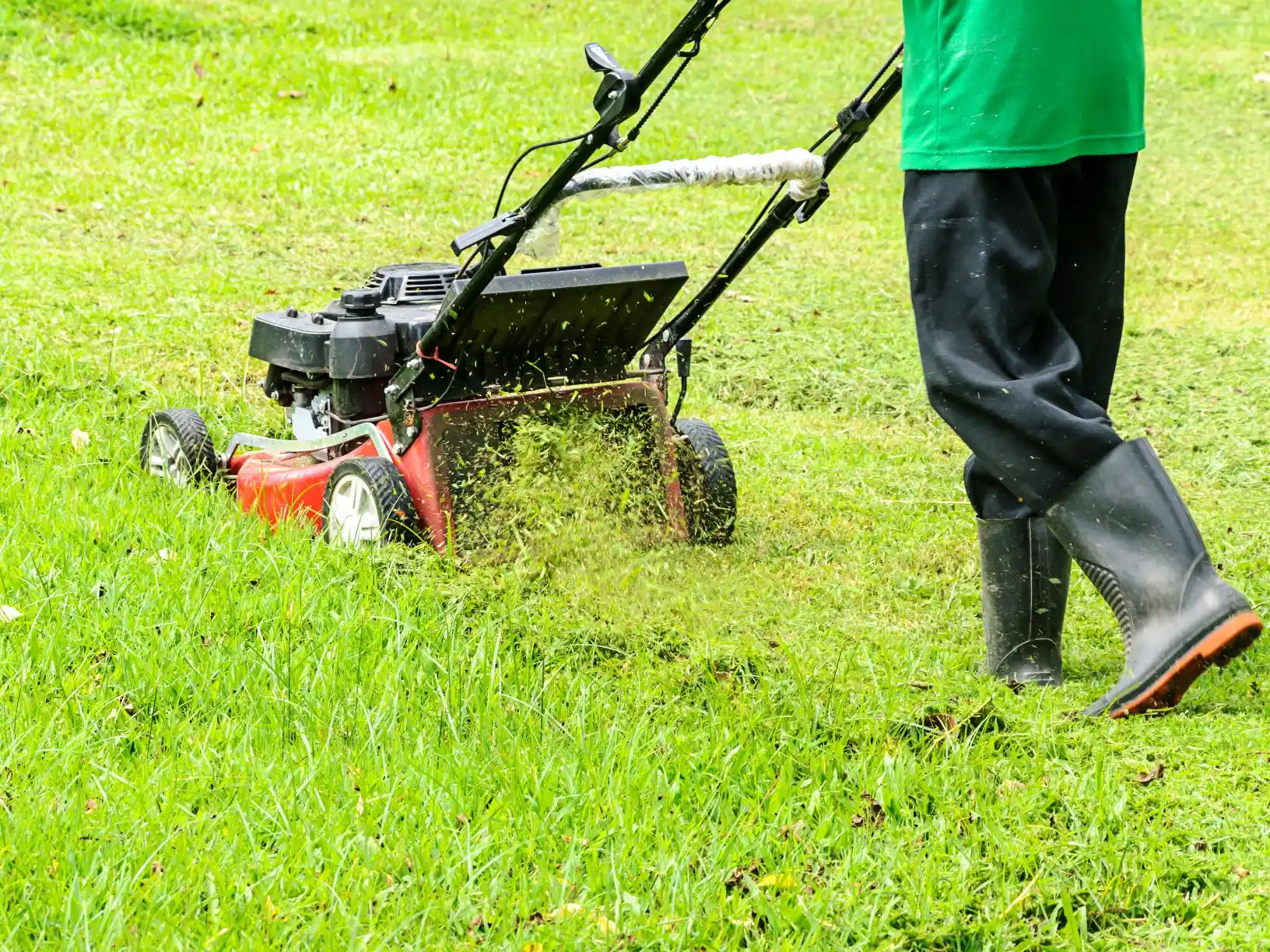 Top-Rated Lawn Grinding Services in Walker LA