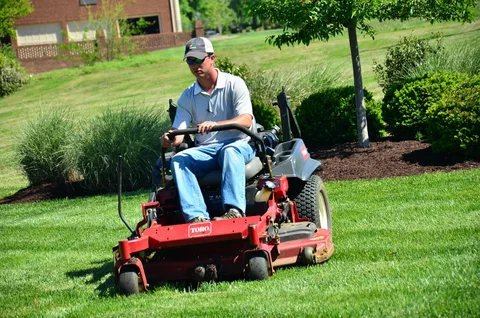 Top-Rated Lawn Grinding Services in Walker LA