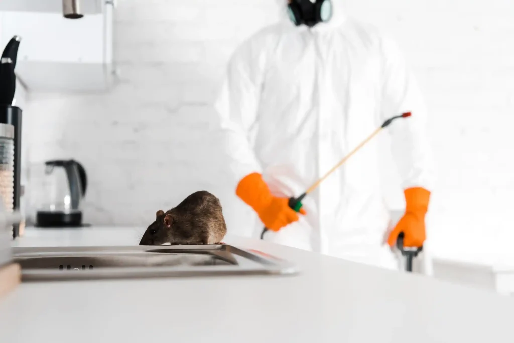 Rodent Control in Sneads Ferry NC