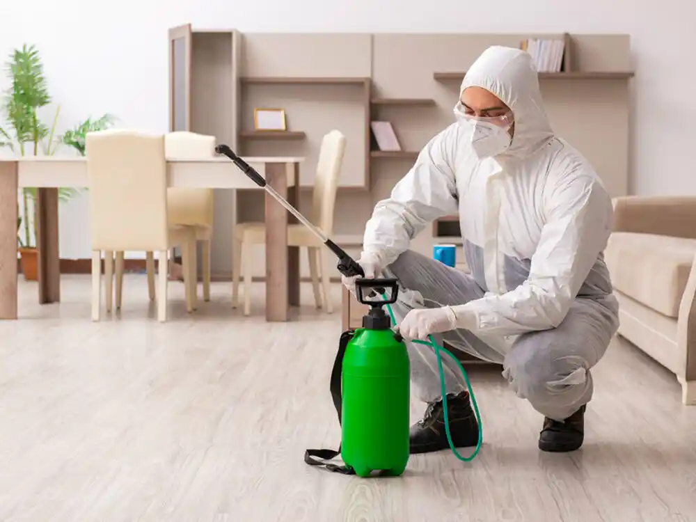  Ant Control Services in Sneads Ferry NC