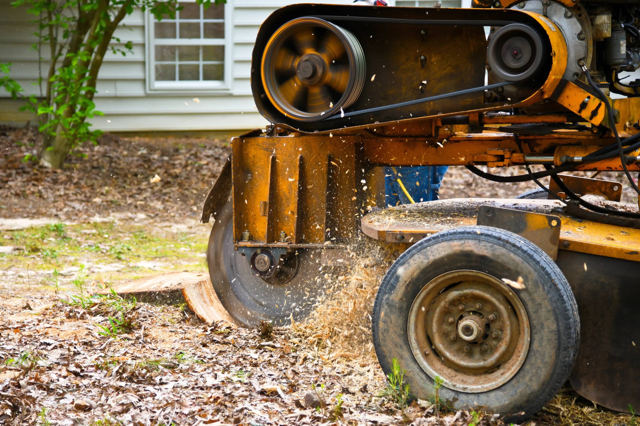 Professional Tree Crane Service in Woodsboro MD