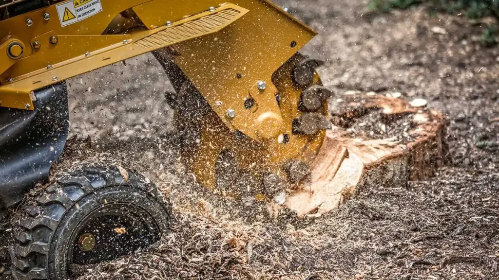 Stump grinding/ Crane in Woodsboro MD